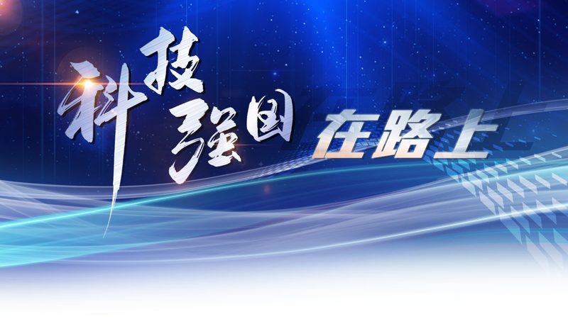 数据湖数据治理功能模块：构建高效数据管理平台的关键